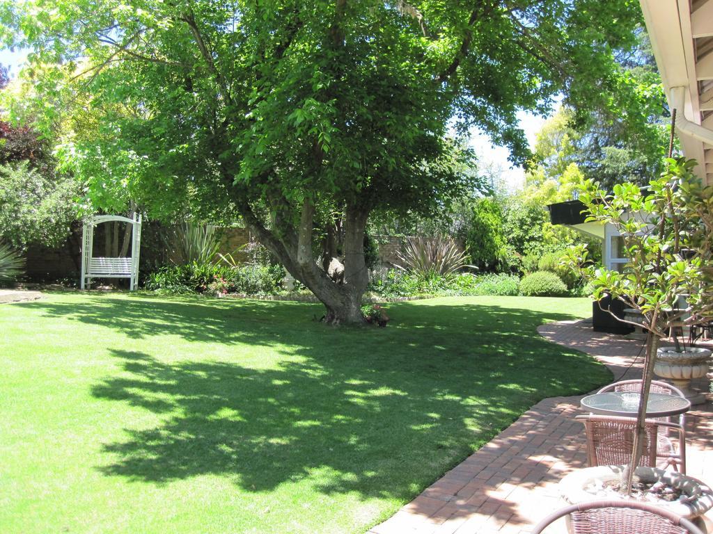 The Pecan Tree Guesthouse Sandton Zimmer foto